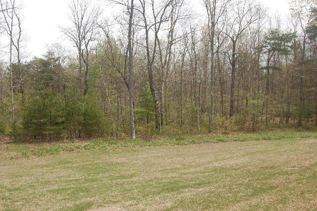 0 Ga 157 Hwy - Photo 1