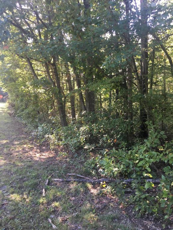 72 Ski Slope Ln - Photo 1