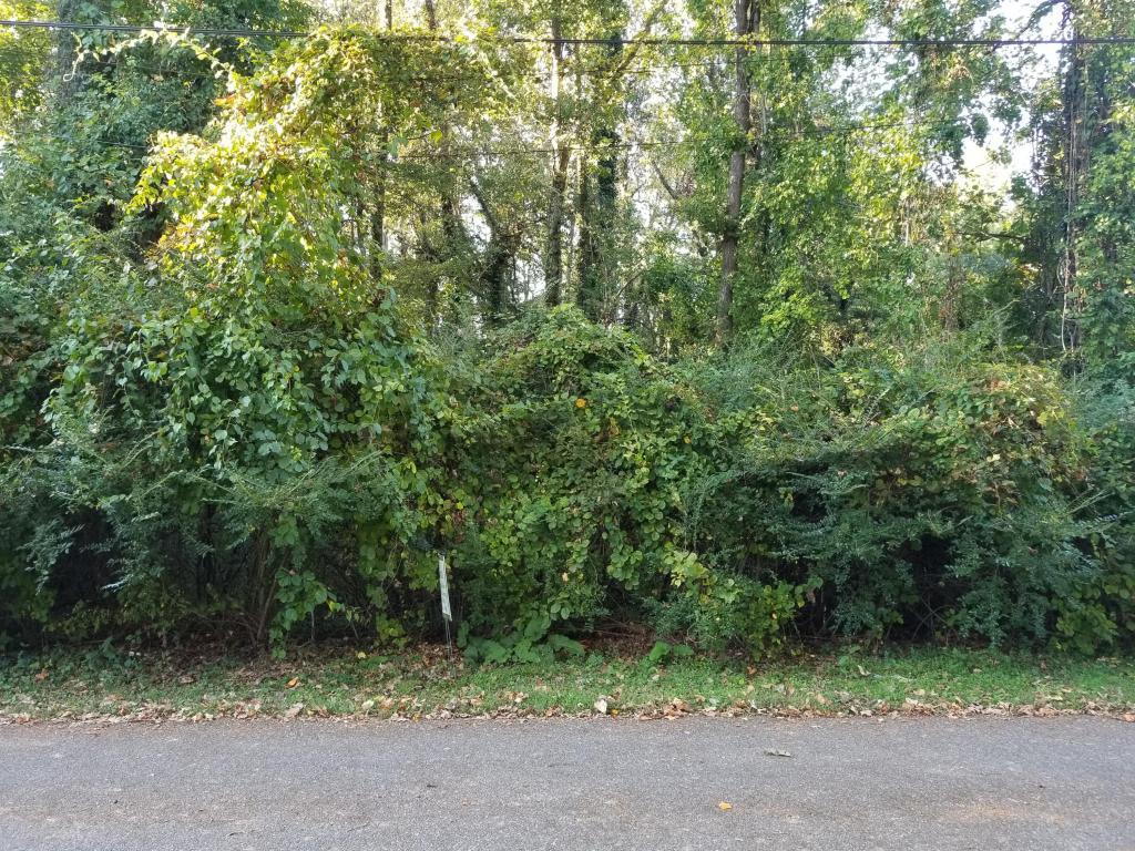 0 Palmer Ave - Photo 1