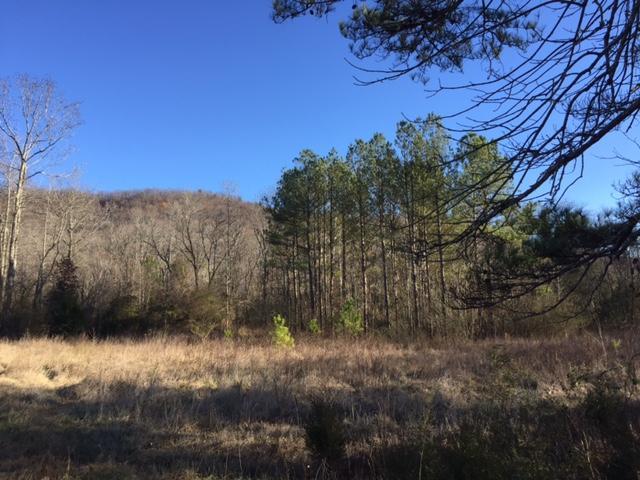 0 Hoke Chambers Dr - Photo 1