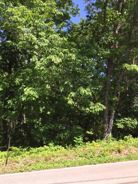 7519 Moses Rd - Photo 1