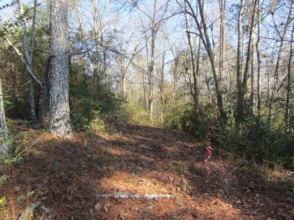 0 Corinth Rd - Photo 1