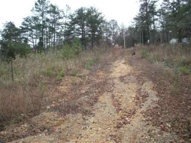 Lot 2 Wasson Rd - Photo 1