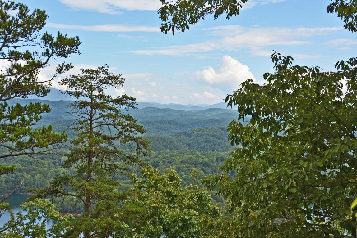 6 Parksville Rd - Photo 1