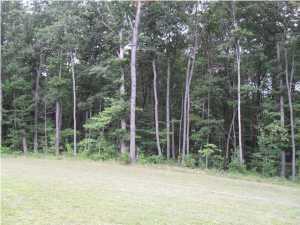 0 Keener Hill Rd - Photo 1