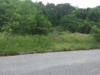 9015 Chip Dr - Photo 1