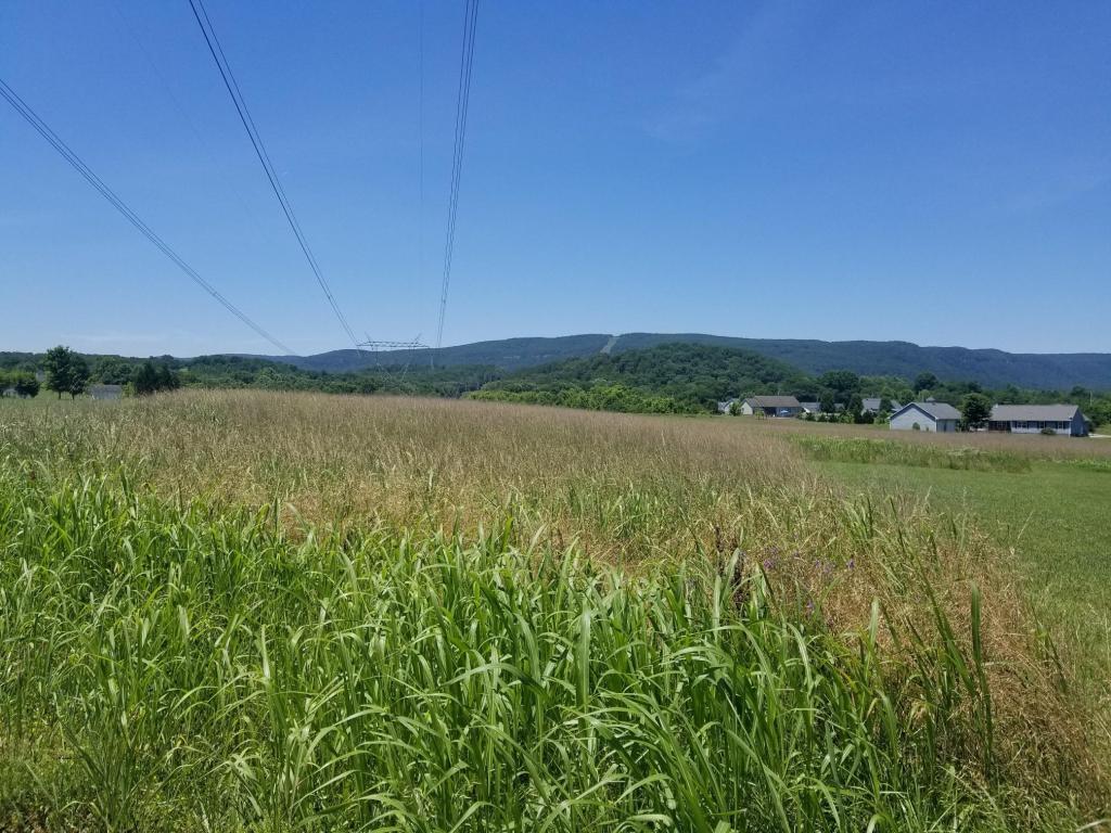 0 Neal Rd - Photo 1