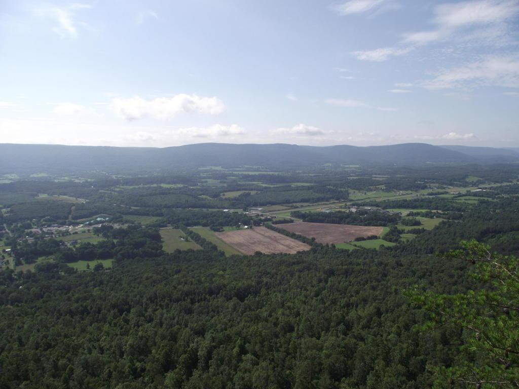 816 English Cove Rd - Photo 1