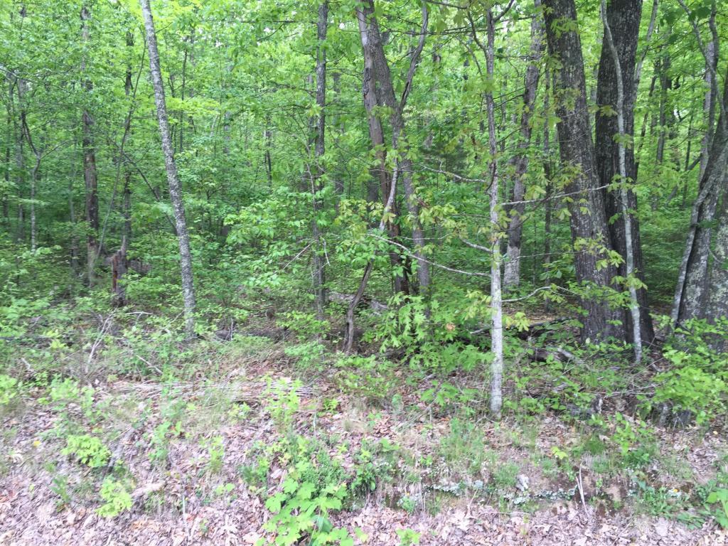 0 Tranquil Acres - Photo 1