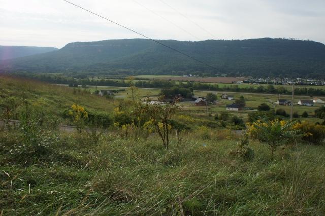 Lot 61 Hardin Rd - Photo 1
