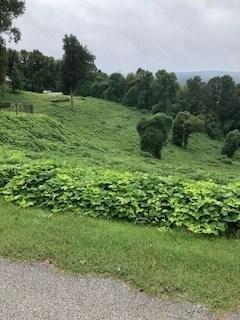 Lot 57 Matthew Ln - Photo 1