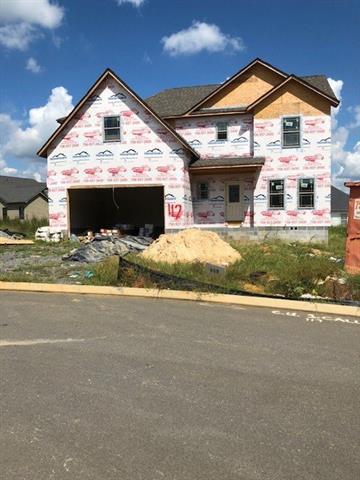 Lot 45 Buck Head Dr - Photo 1