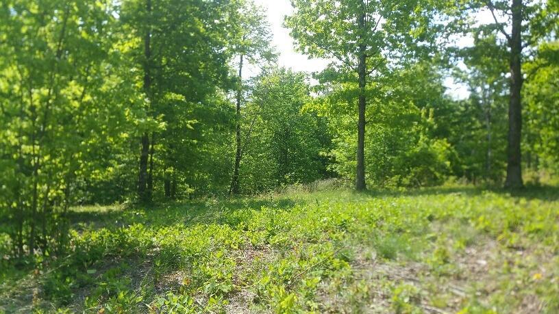511 Wilderness Way - Photo 1