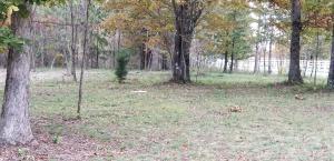39 Hobbstown Rd - Photo 1