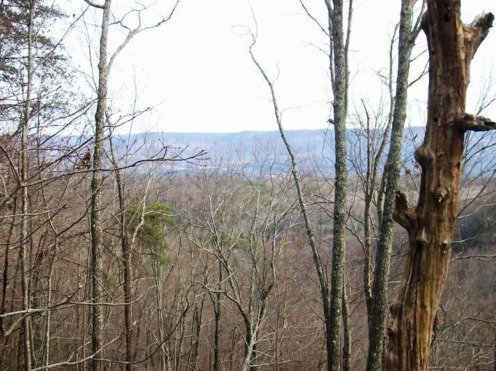 Lot 220 Jason Rd - Photo 1