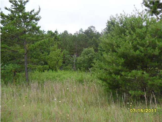 0 Davis Dr - Photo 1