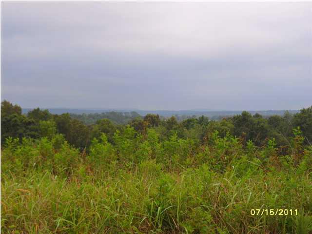 0 Castlehill Dr - Photo 1