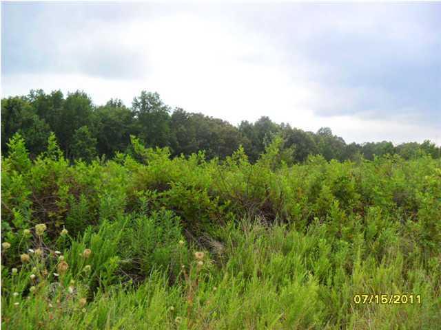 0 County Rd 818 - Photo 1