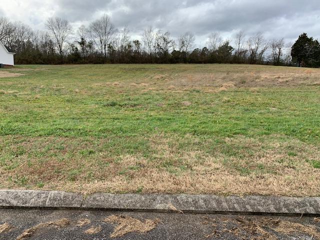 0 Village Dr - Photo 1