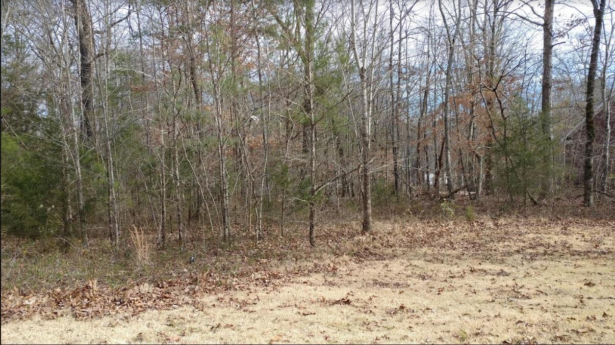 68 Big Cedar Dr - Photo 1