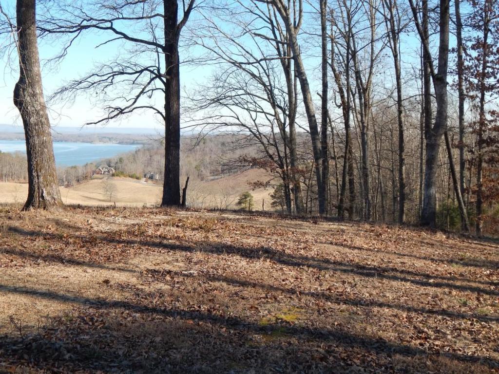 9910 Caseview Drive Dr - Photo 1