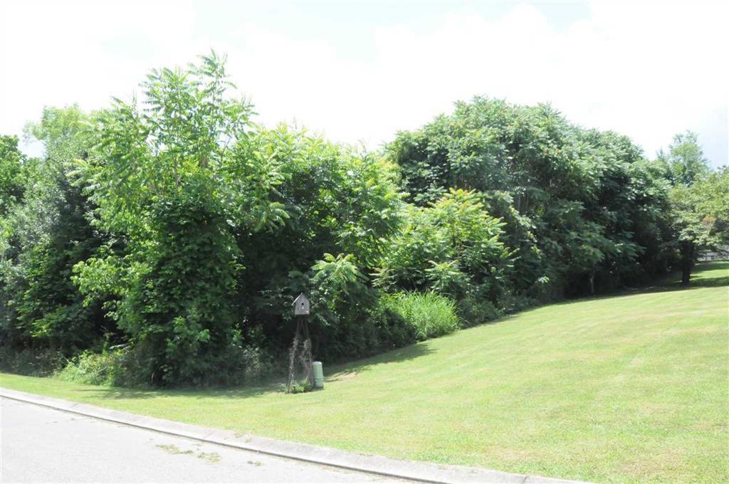 Lot 40 Bellbrook Dr - Photo 1