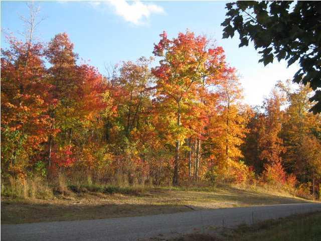 244 Roaring Creek Rd - Photo 1