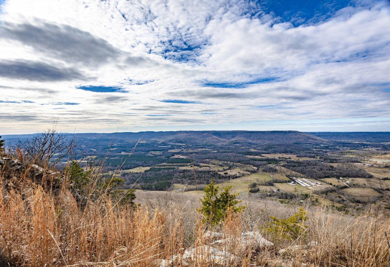 18 Fawn Lake Bluff - Photo 1