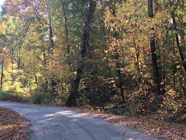 2458 Lower Cove Loop - Photo 1