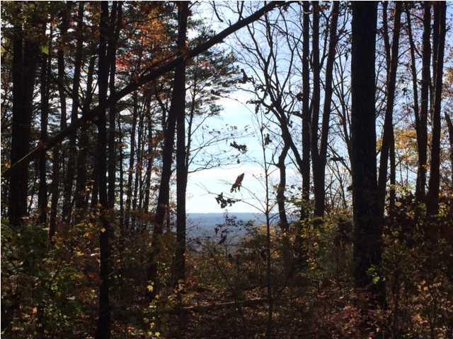 0 Shivas Crest - Photo 1