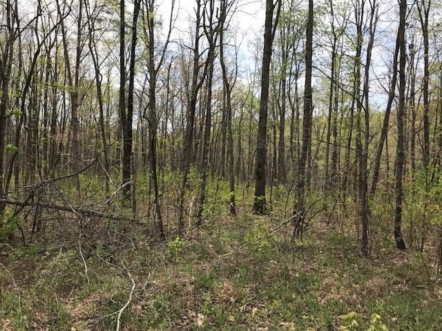 34 Dogwood Flats Rd - Photo 1