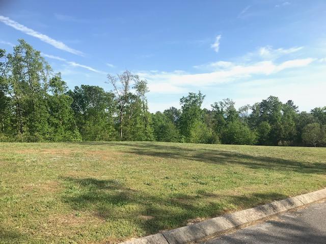 Lot 3 Greenbriar Trail - Photo 1