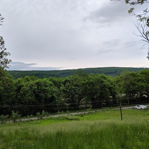 9226 Daisy Dallas Rd - Photo 1