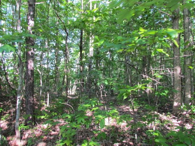13 Tranquil Acres - Photo 1