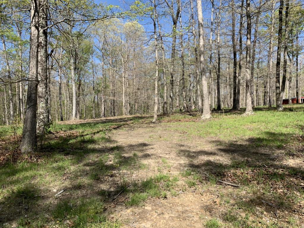 251 Coyote Trail - Photo 1