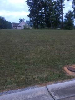 Lot 2 Spring Creek Dr - Photo 1
