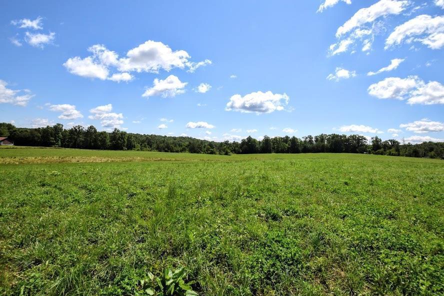 11.27 Ac. Highway 68 - Photo 1