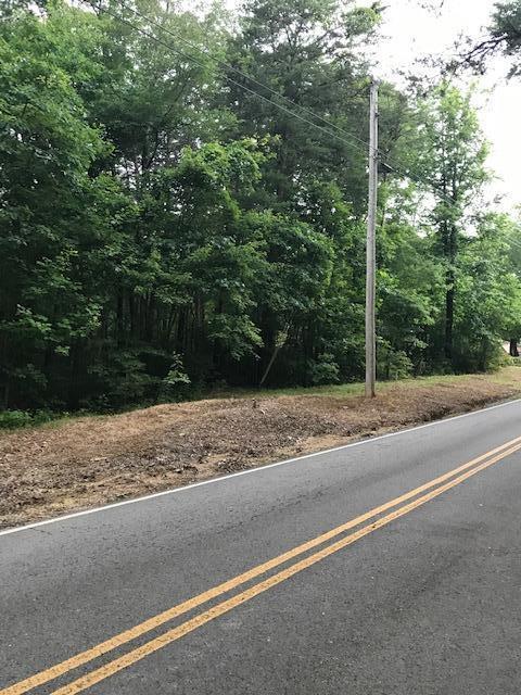 0 Big Fork Rd - Photo 1