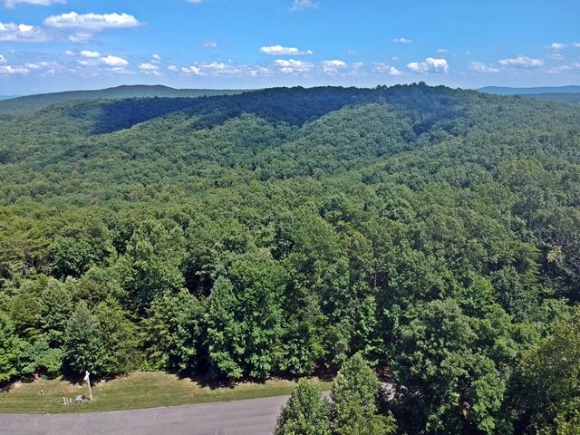 Lot 65 Shivas South - Photo 1