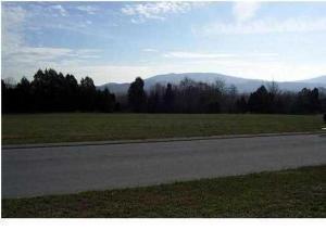 0 Village Dr - Photo 1