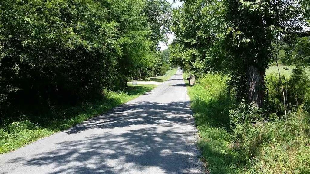 569 Tom Garrison Rd - Photo 1