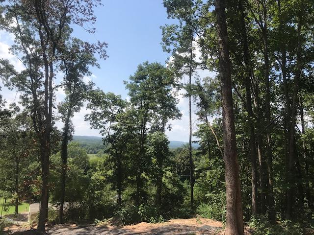 00 Old Cottonwood Mill Rd - Photo 1