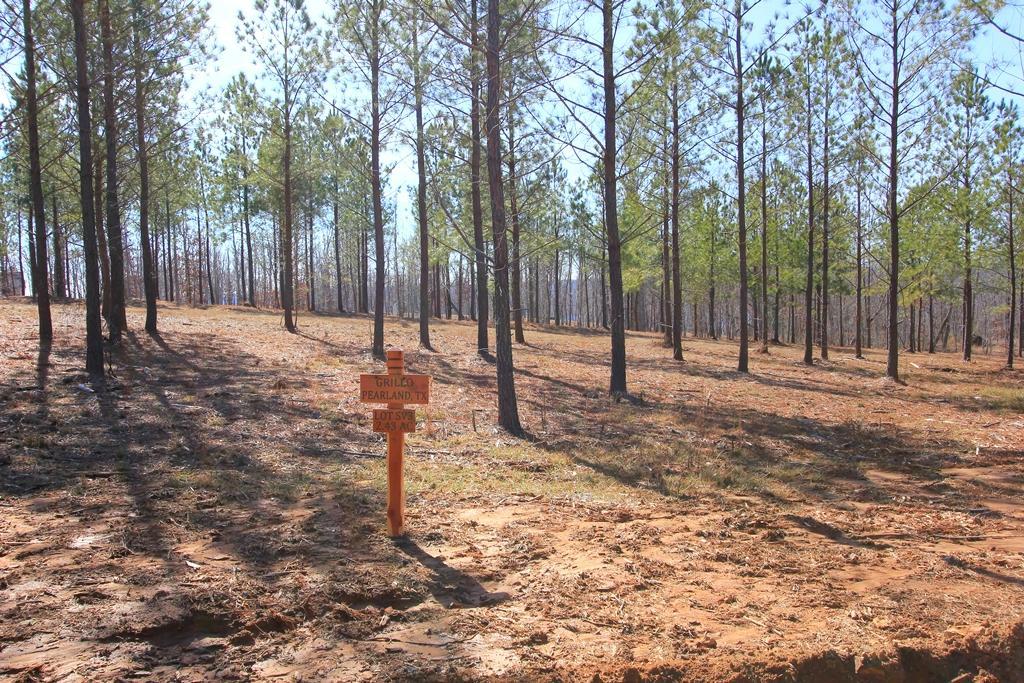 0 Raulston Falls Rd - Photo 1