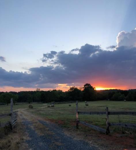 0 Hwy 225N - Photo 1