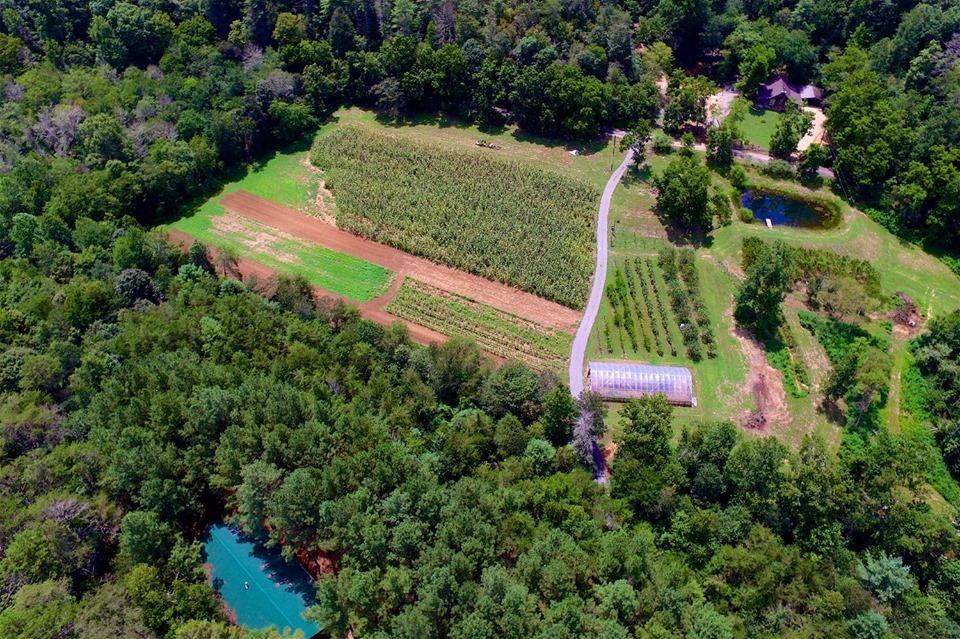 270 Price Rd - Photo 1