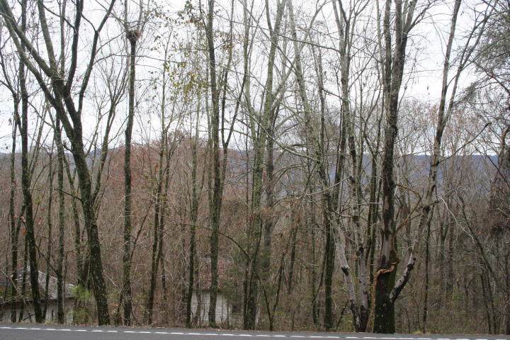 0 Ga 136 Hwy - Photo 1