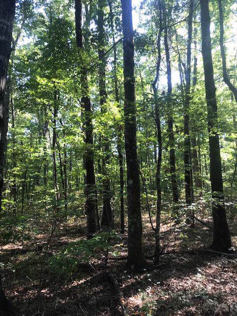 Lot 1 Laurel Lake Road - Photo 1