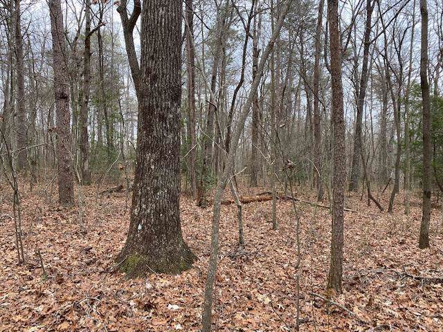 256 Colony Road - Photo 1