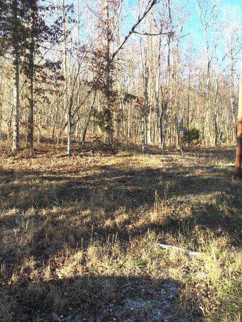 4443 Parker Loop Rd - Photo 1