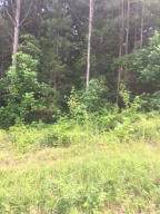 0 Rolling Hills Dr - Photo 1